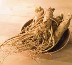 GlucoVive™ Panax Ginseng Aerial Extract
